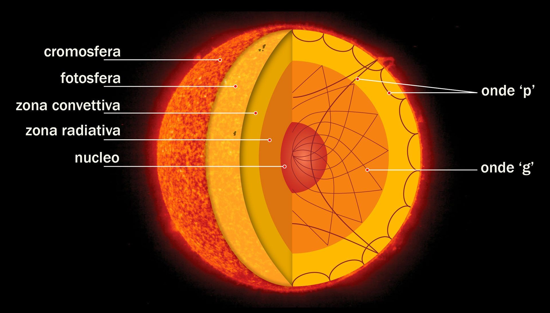 L'interno del Sole.