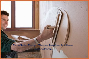 DAVE ROBB DAMP - TIMBER SERVICES HERTFORDSHIRE damp in st albans dave robb services