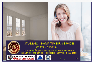 BOOK FREE SURVEY TODAY ST ALBANS Damp & Woodworm Treatments Free Damp quote all areas in St Albans damp in st albans dave robb services