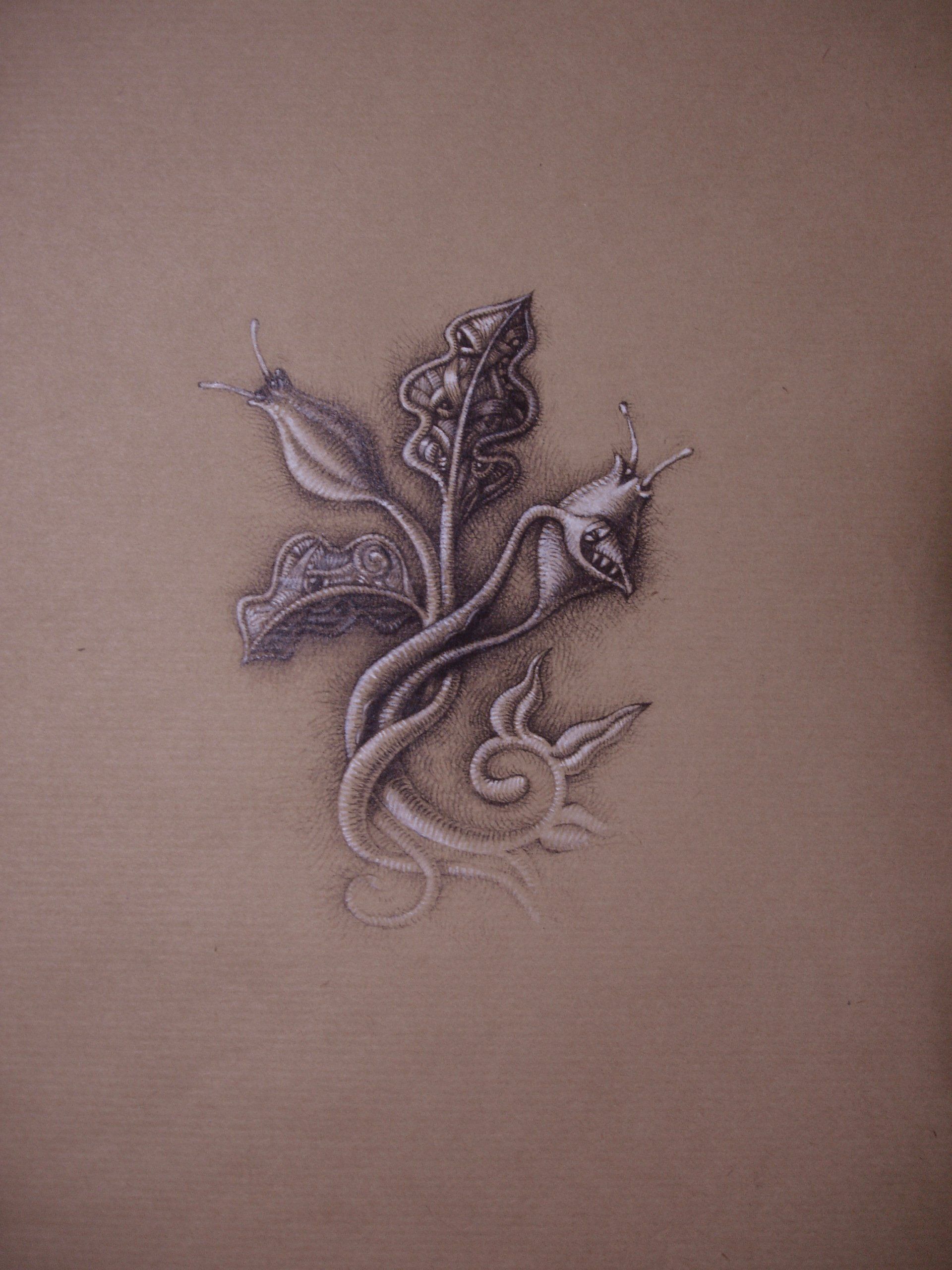 Dessin au crayon graphite sur kraft et pastel blanc