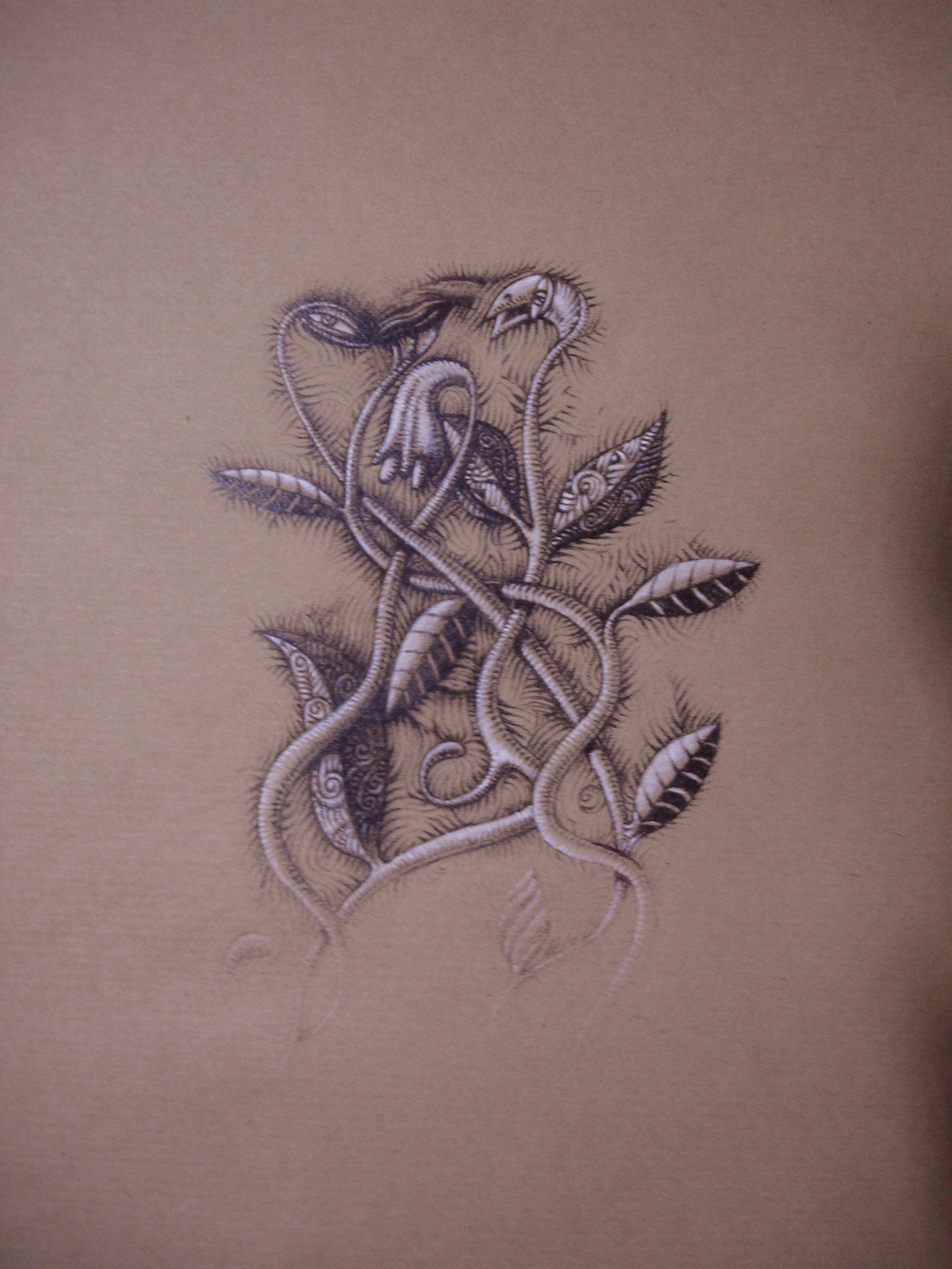 Dessin au crayon graphite sur kraft et pastel blanc