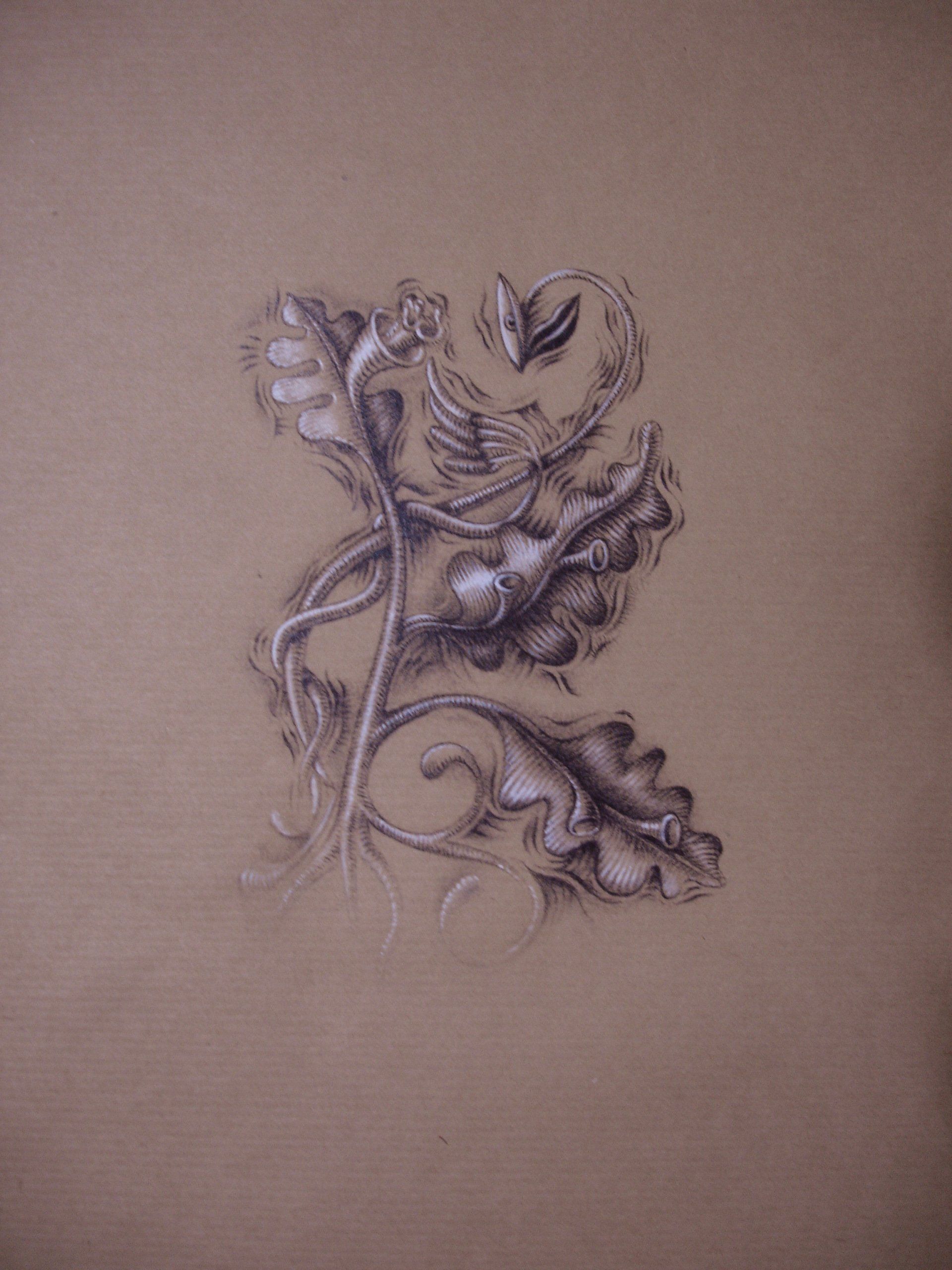 Dessin au crayon graphite sur kraft et pastel blanc