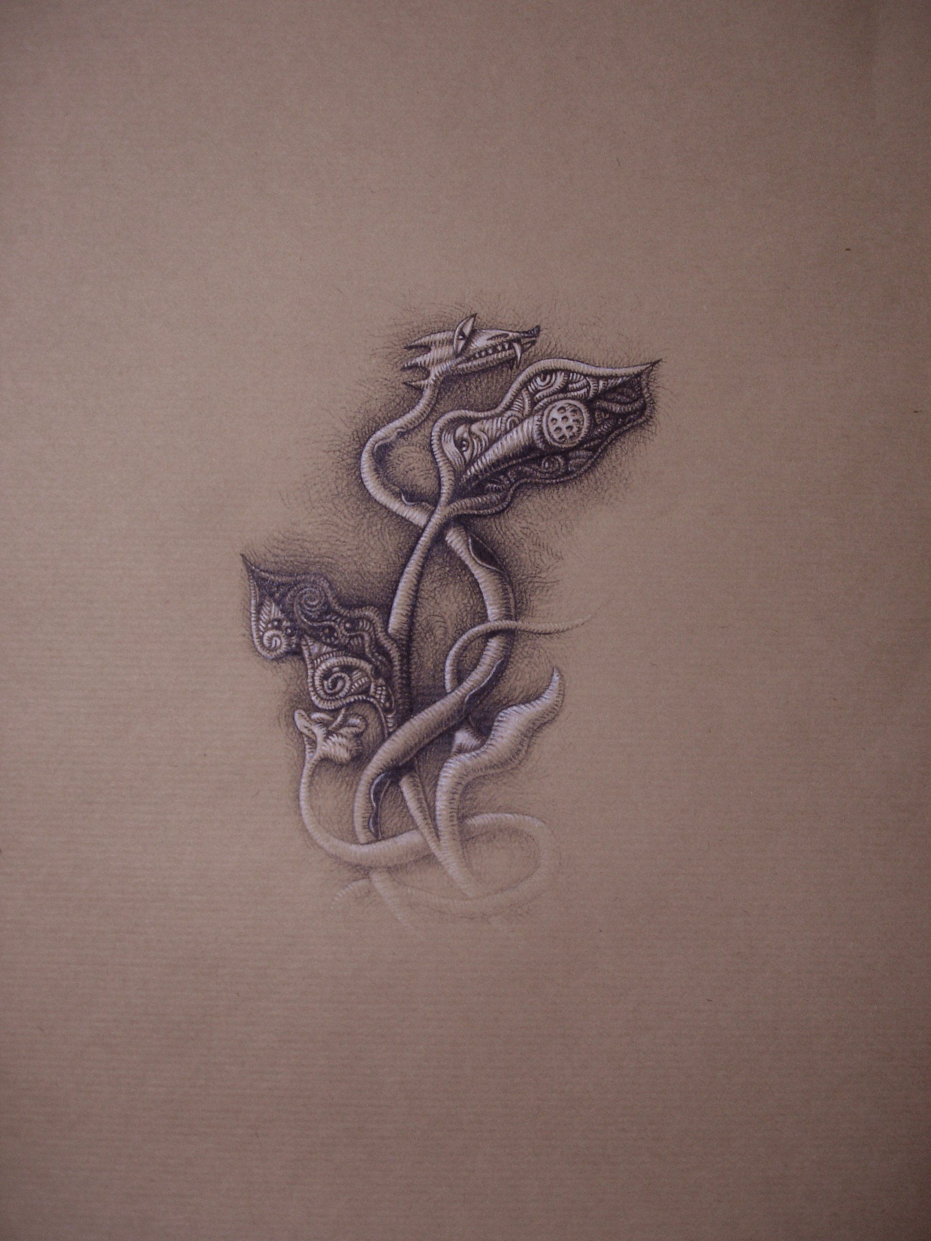 Dessin au crayon graphite sur kraft et pastel blanc