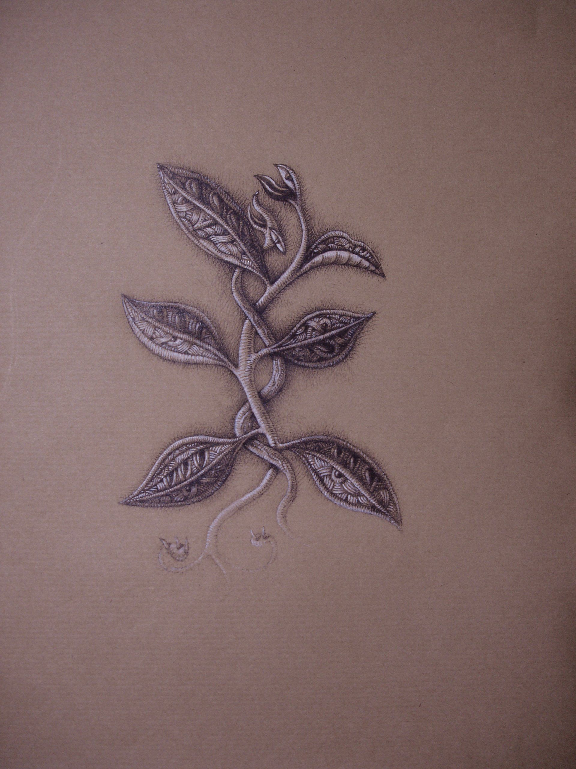 Dessin au crayon graphite sur kraft et pastel blanc