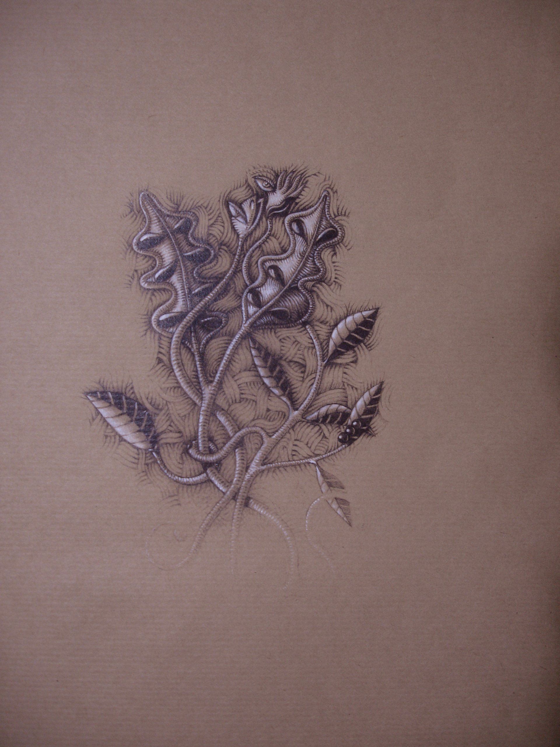 ,Dessin au crayon graphite sur kraft et pastel blanc