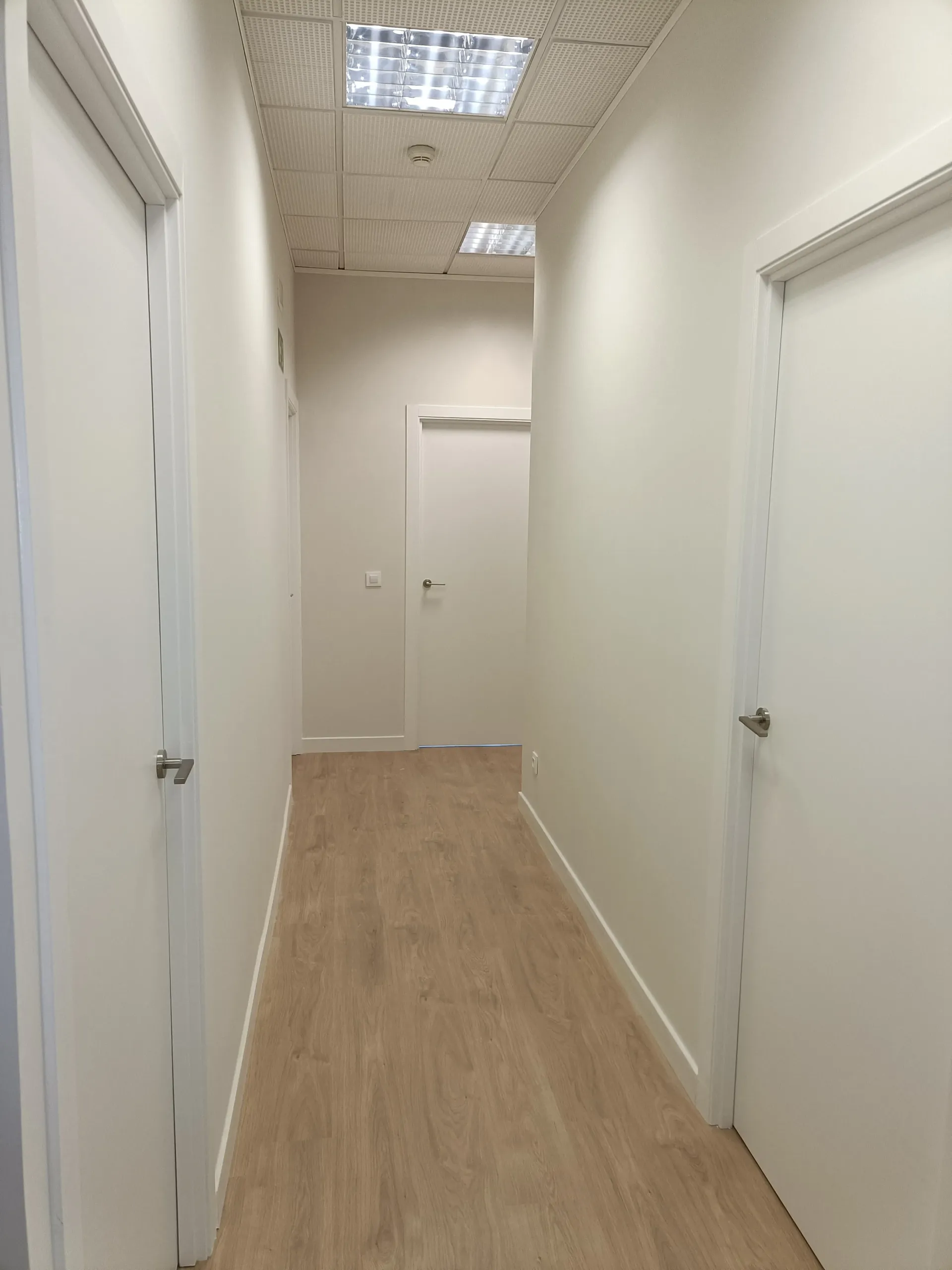 Divisiones en Pladur