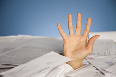 Diana Craig LLC Tax Preparation (321) 633-0080 Diana Craig LLC Tax Preparation (321) 633-0080