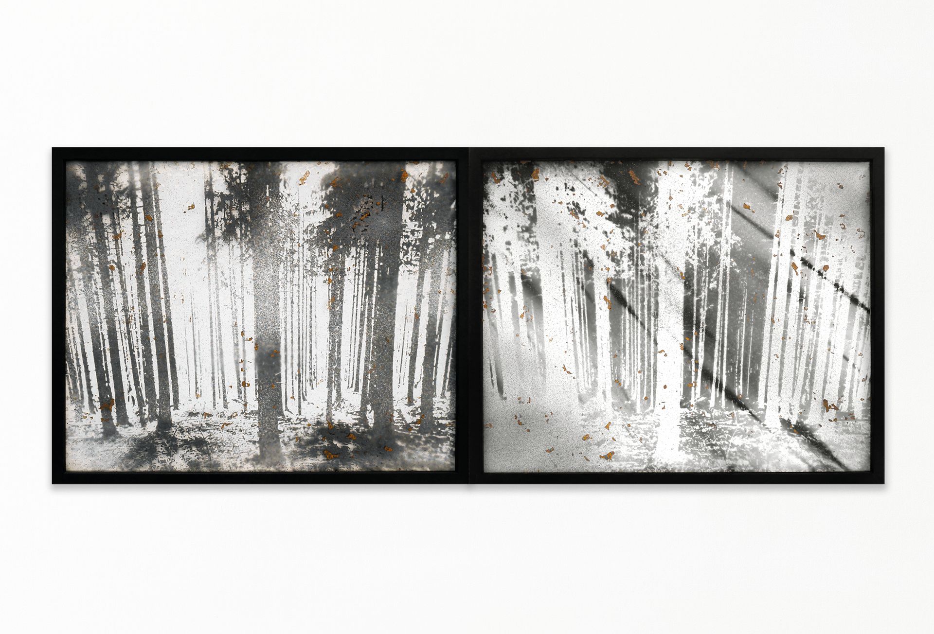 Nicolas Daubanes, Tonnerre