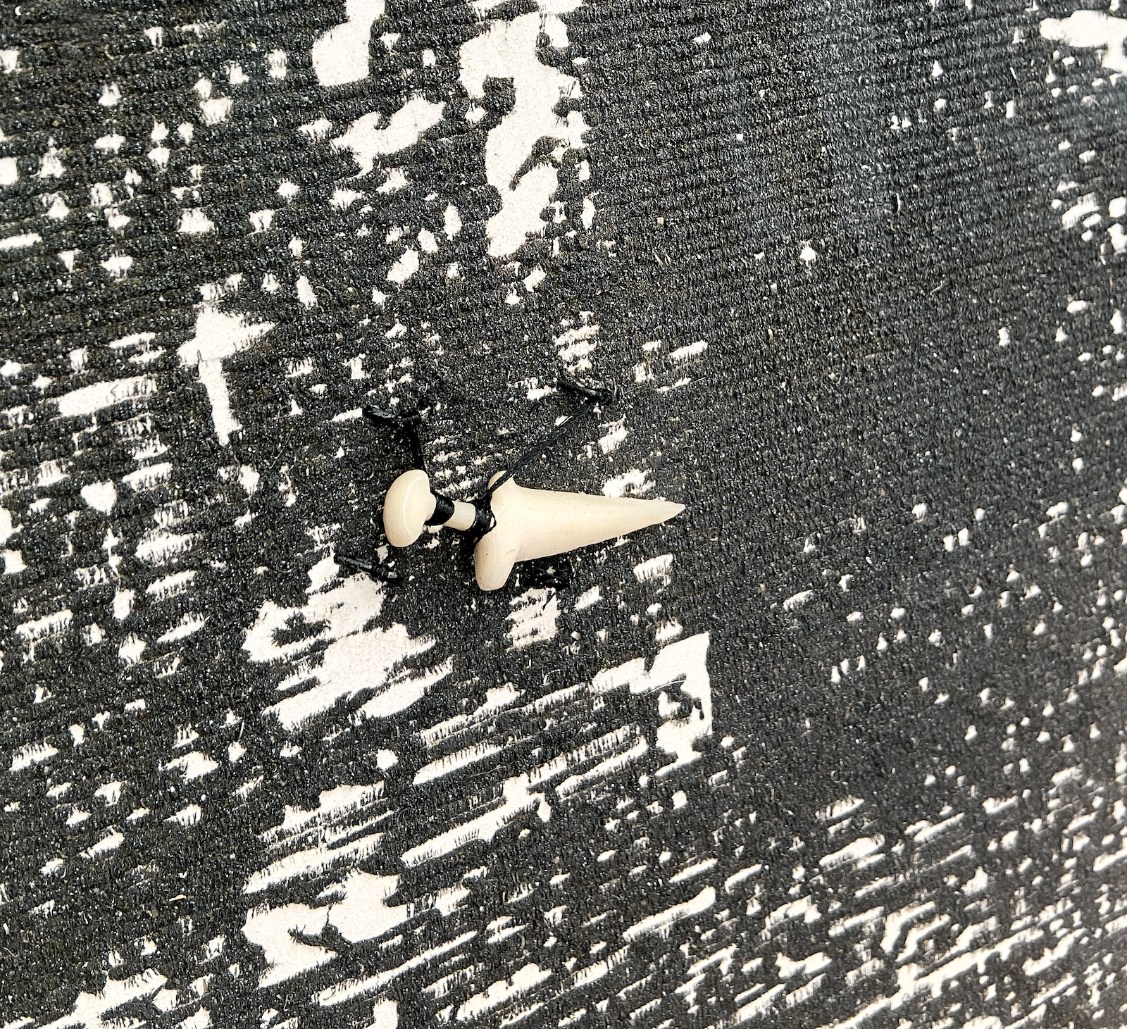 Nicolas Daubanes, Désastres