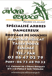 ARBRE ESPACE