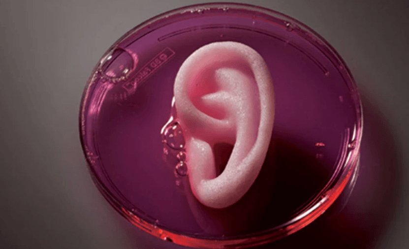 3d printed ear tissue