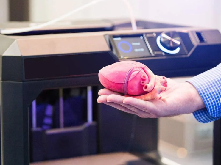 3D Printed heart