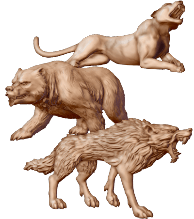 Animals