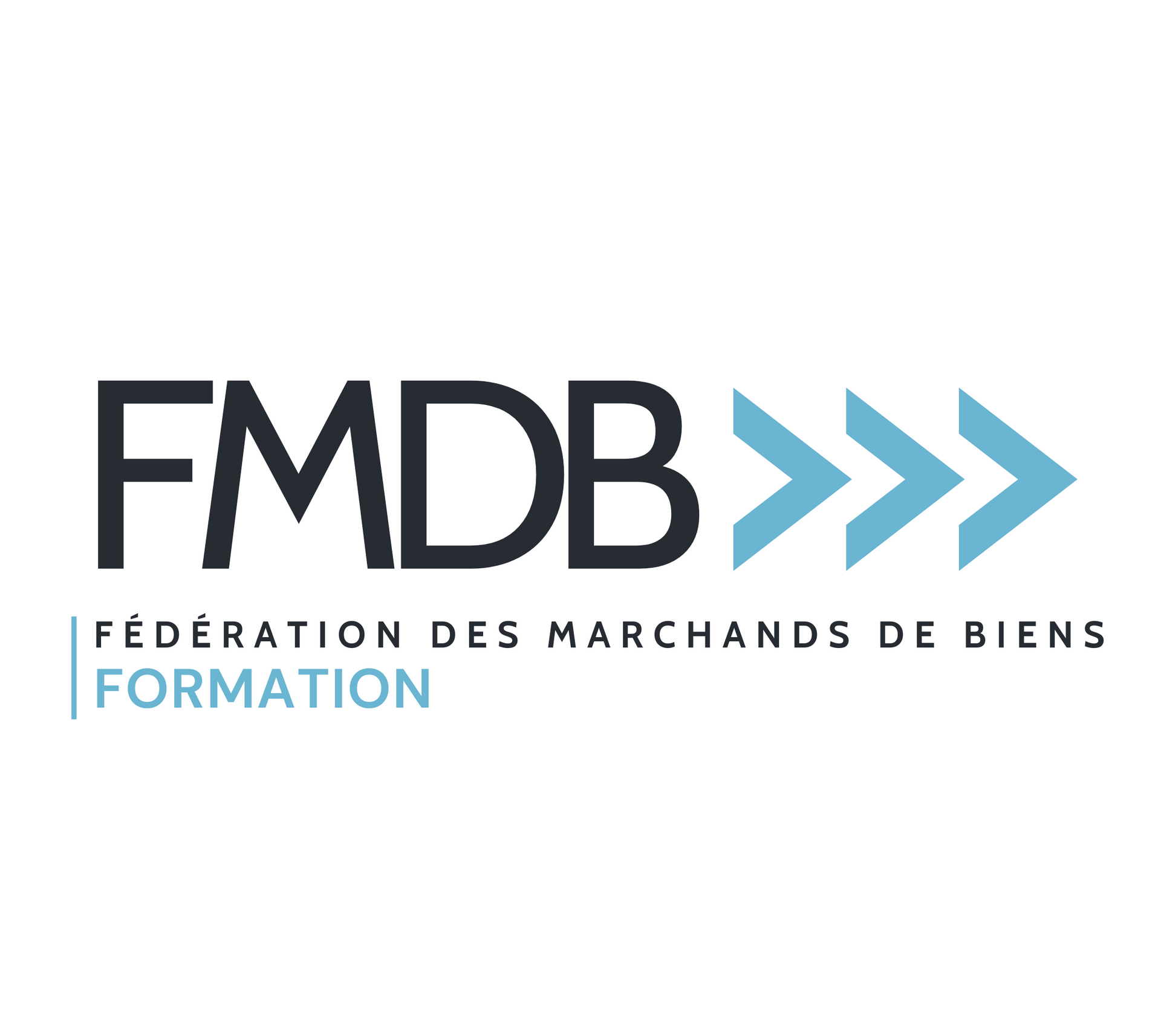 Logo Formation FMDB