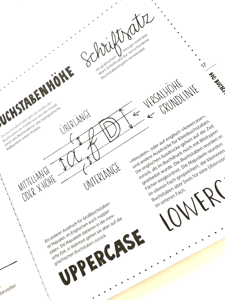 Handlettering lernen. Grafik erläutert die Anatomie der Buchstaben. Sie erklärt Grund- und Oberlinien und X-Höhe der Buchstaben.