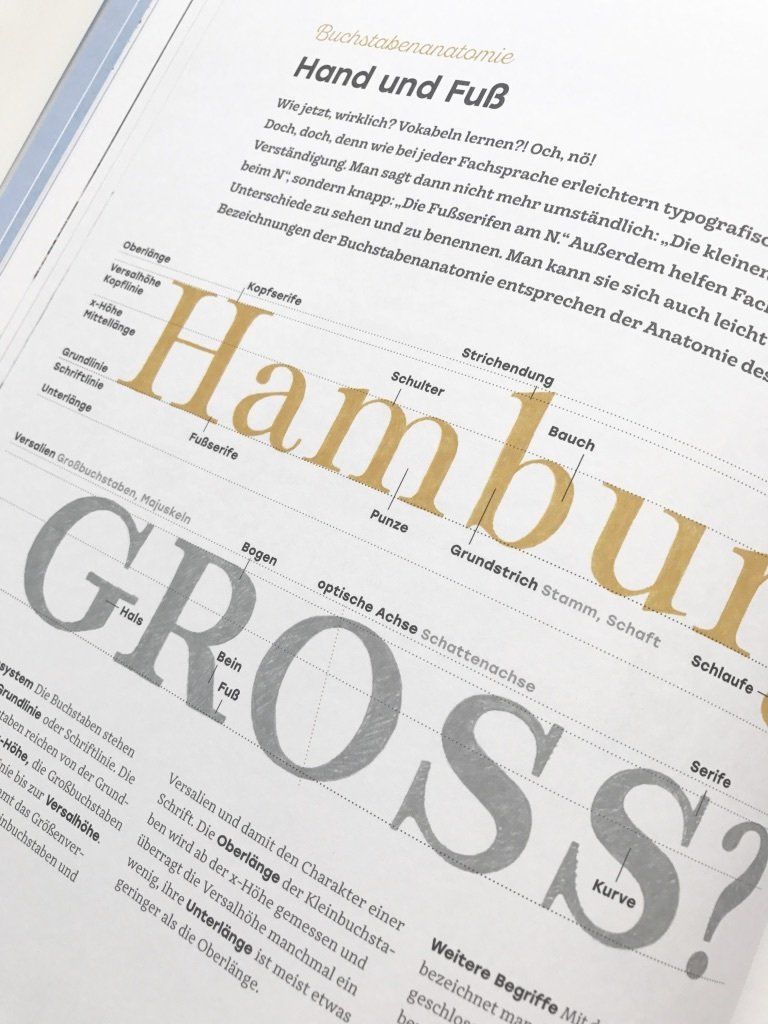 Handlettering Buchempfehlung von Feinrosa. Chris Campe zeigt in ihrem Buch Handbuch Handlettering die Anatomie der Buchstaben.