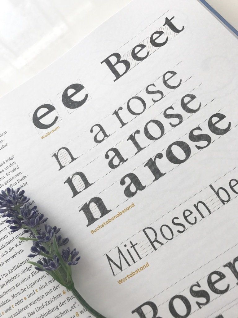 Handlettering Buchempfehlung von Feinrosa. Chris Campe zeigt in Handbuch Handlettering Beispiele von Serifen-Alphabete und serifenlose Schrift.