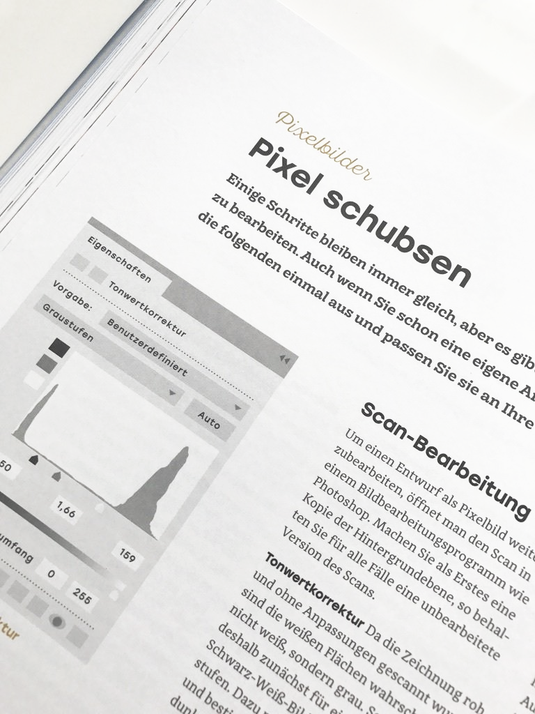 Handlettering Buchempfehlung von Feinrosa. Was man über die Digitalisierung von Handletterings wissen sollte, von Chris Campe.