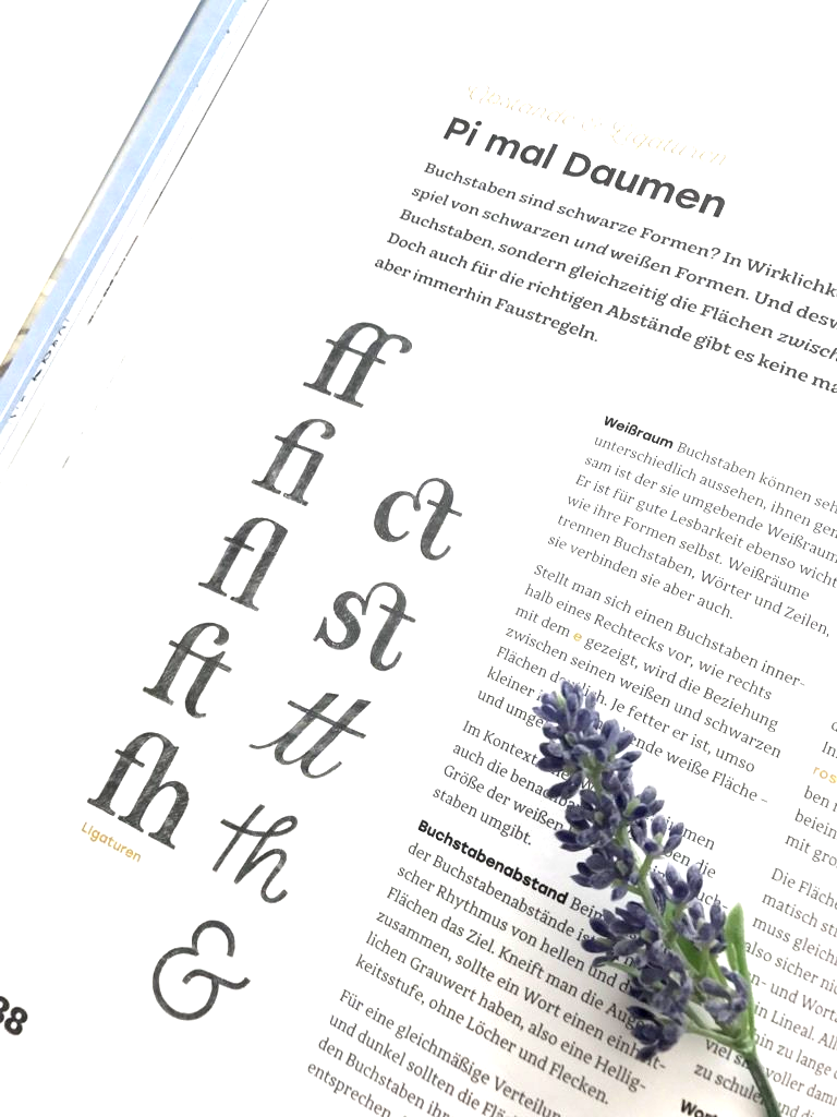 Chris Campe behandelt in ihrem Buch Handbuch Handlettering die Buchstaben-Verbindungen (Ligaturen).