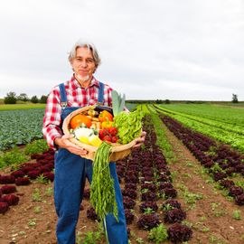 Qualität & Frische Frische