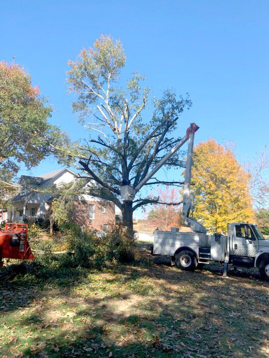 Lowery's Tree Service bucket truck Lowery's Tree Service bucket truck