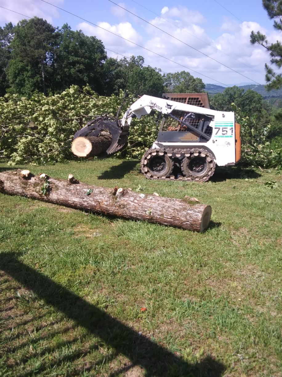Lowery's Tree Service cleanup Lowery's Tree Service cleanup