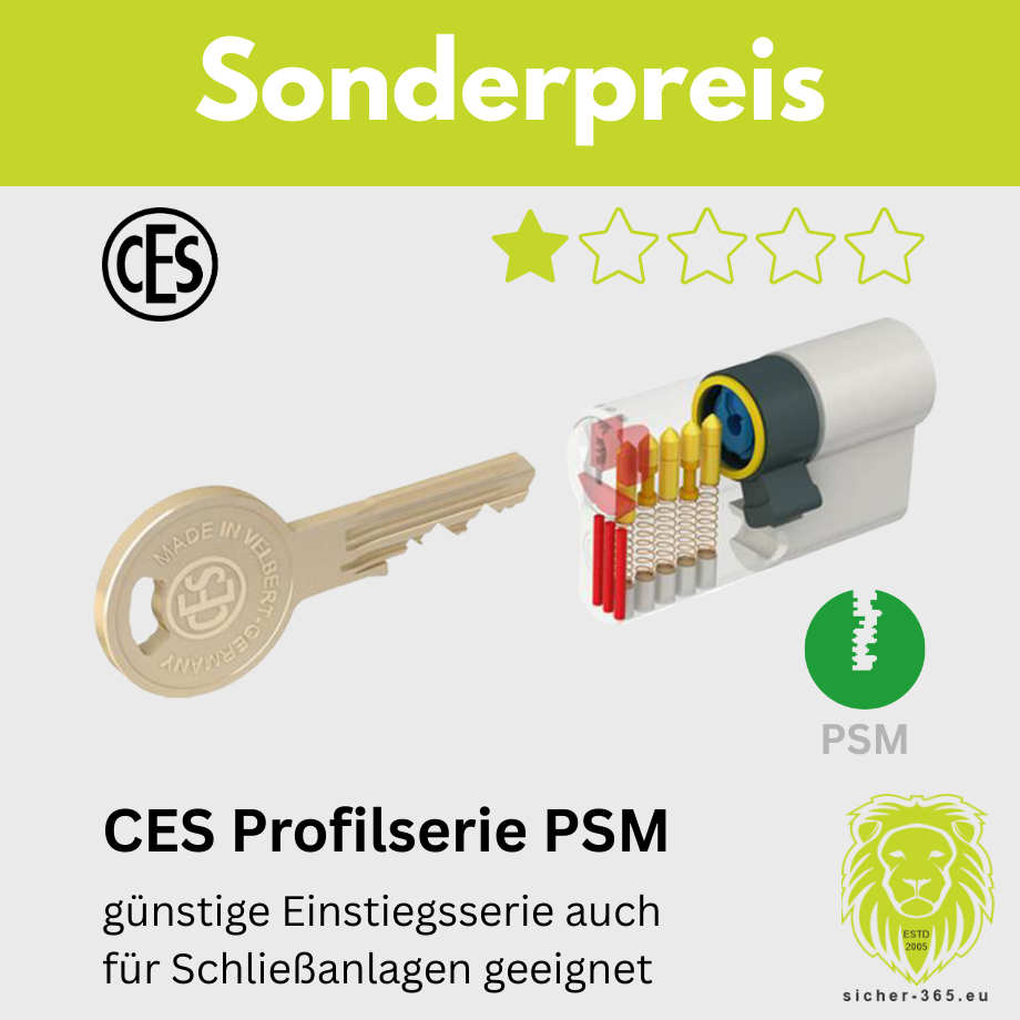 Details Schließzylinder PSM