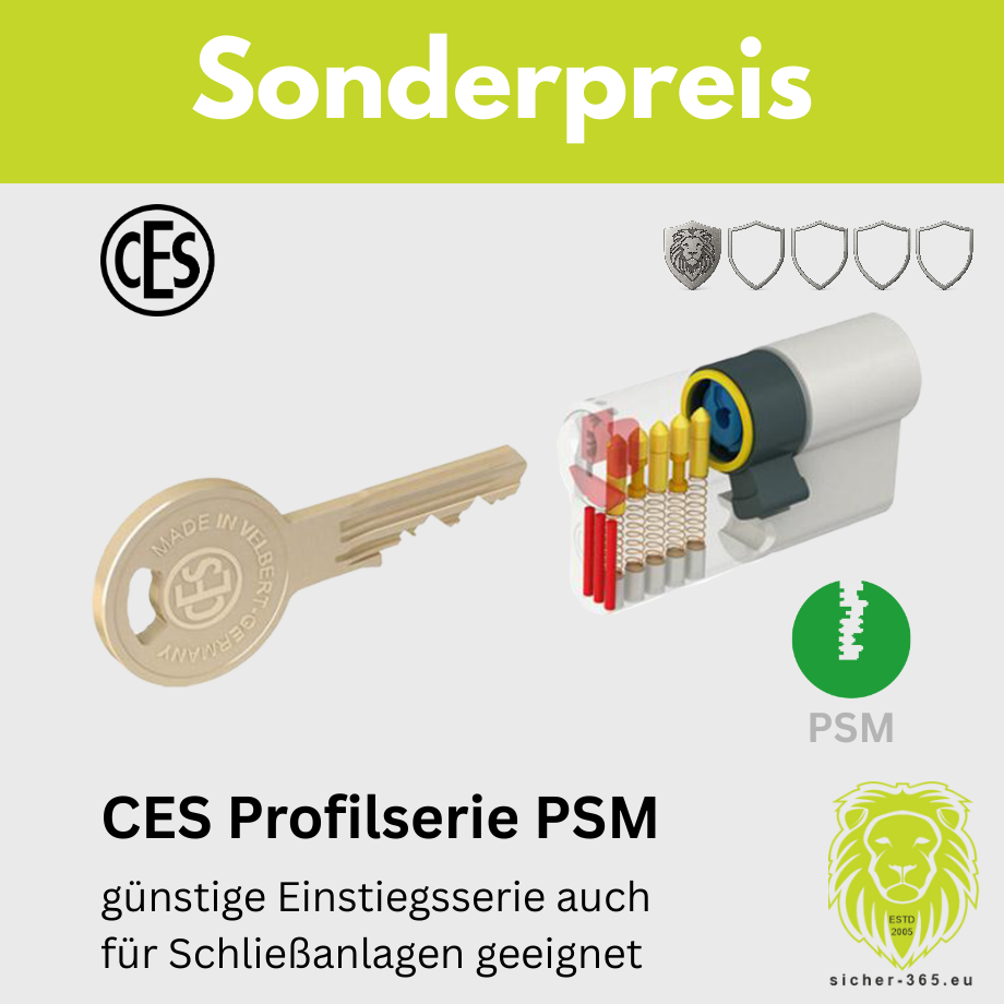 Details Schließzylinder PSM