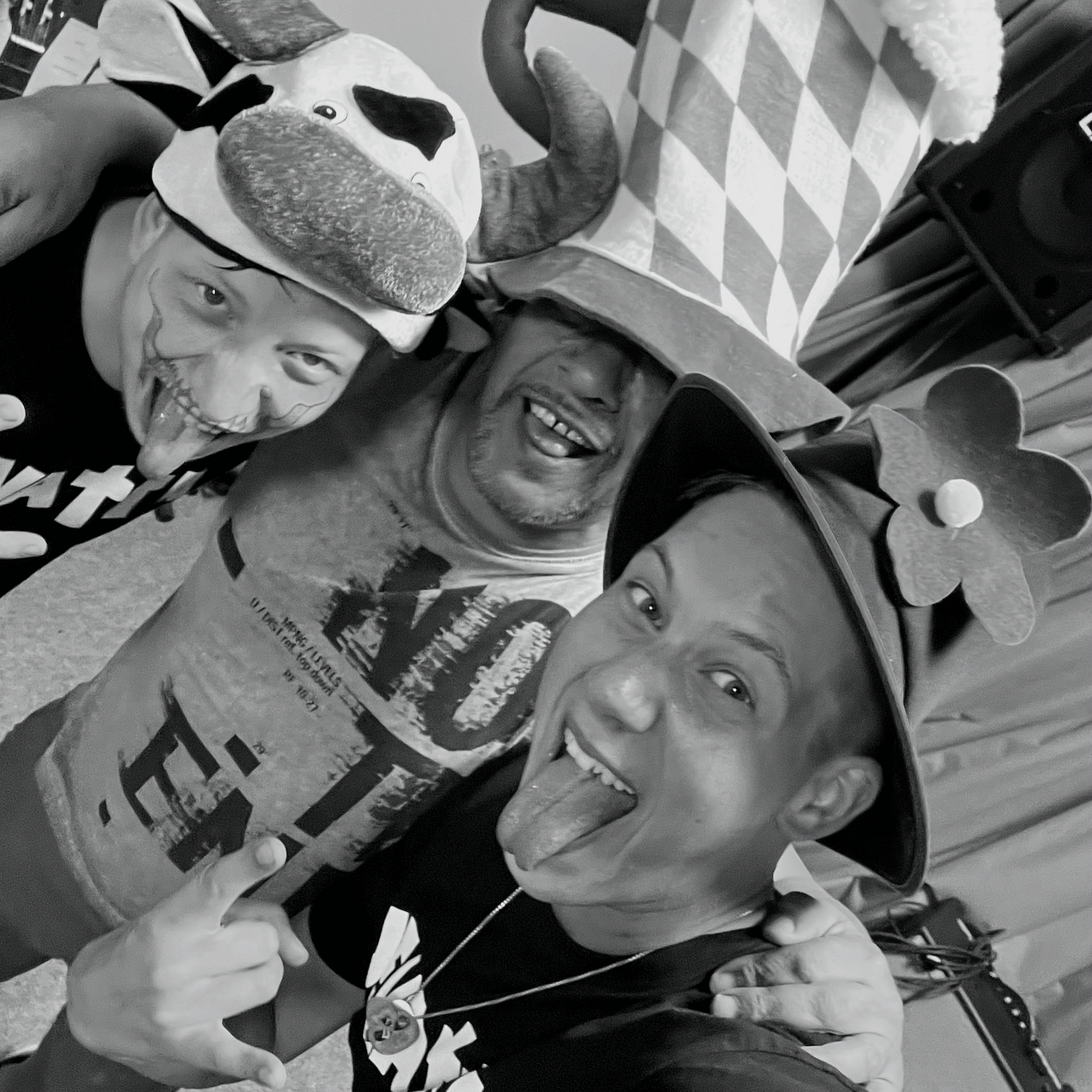 Vorderseite vom Singlecover Das Lied von der Unzulänglichkeit menschlichen Strebens der Band Jevatta. Cover was taken by Jevatta.