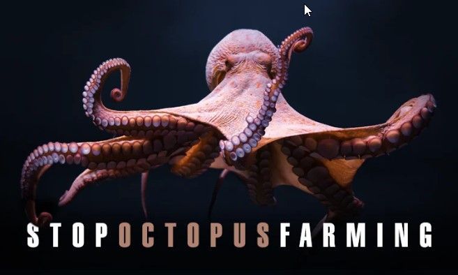 StopOctopusFarming