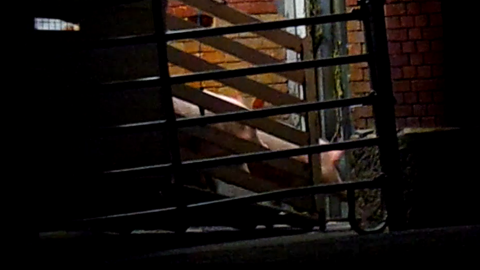 Schlachthof Rottenburg Mahnwache 25.02.24