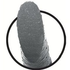 Haarspitze unter dem Mikroskop, geschnitten mit dem Calligraphen, glatte und gleichmäßige Struktur.