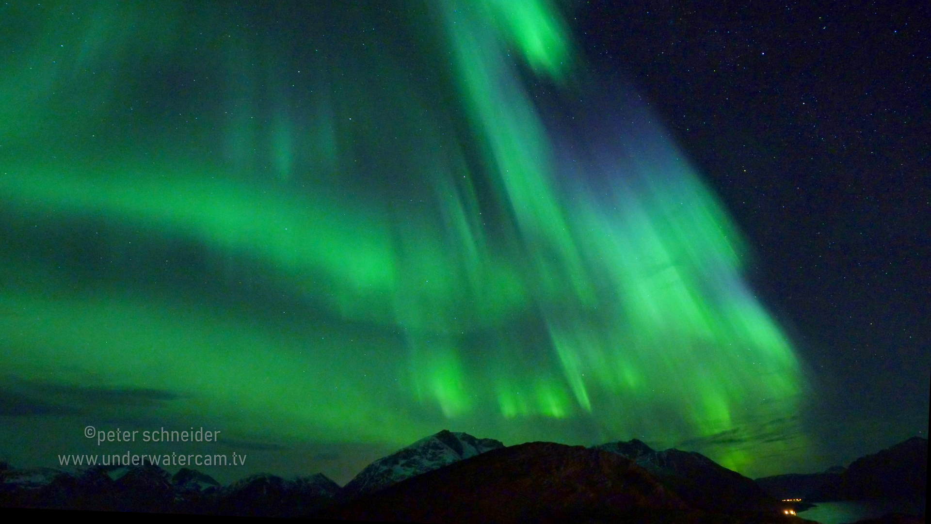 link zu unserer stock footage seite walfluke- buckelwal