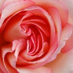 Nancy Weise über Kundalini Yoga mit Sophie Krespach