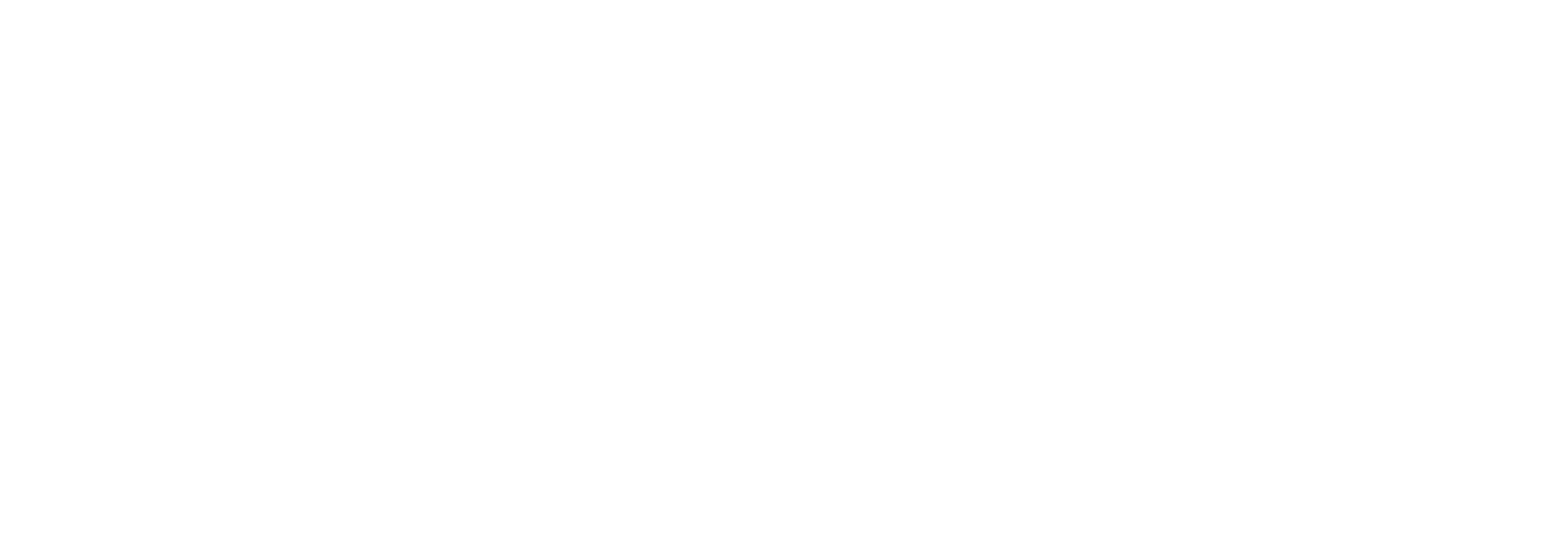 BRAW DOGS - Dog Walking & Pet Services