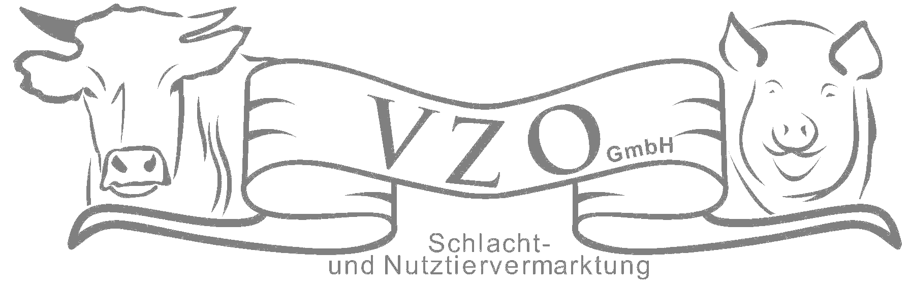 Logo VZO