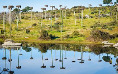 LOS BARRUECOS PARQUE NACIONAL LOS BARRUECOS PARQUE NACIONAL