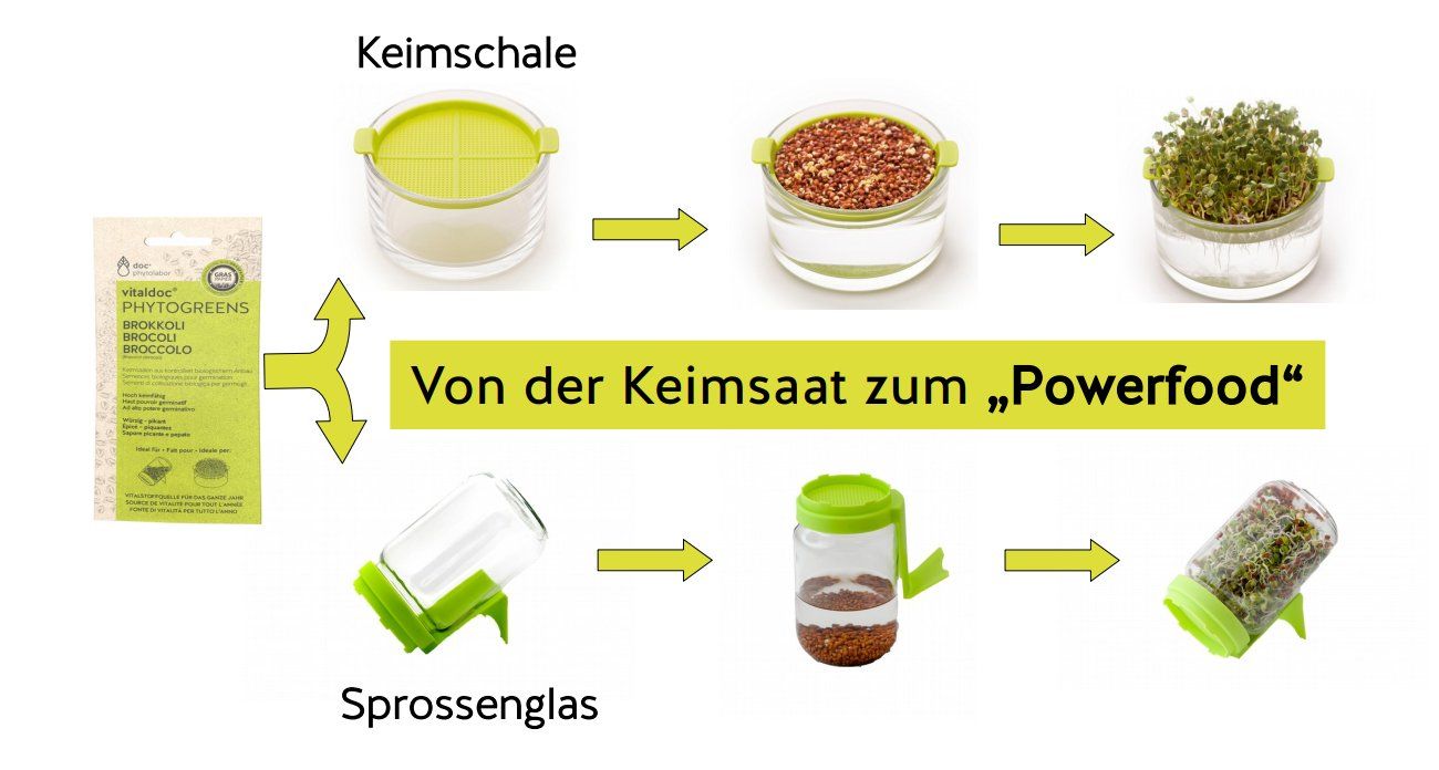 vitaldoc® PHYTOGREENS Keimgeräte: von der Keimsaat zum Powerfood