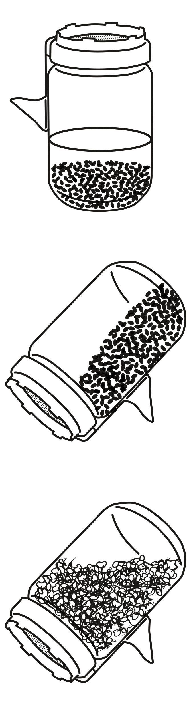 sprossenglas grafik