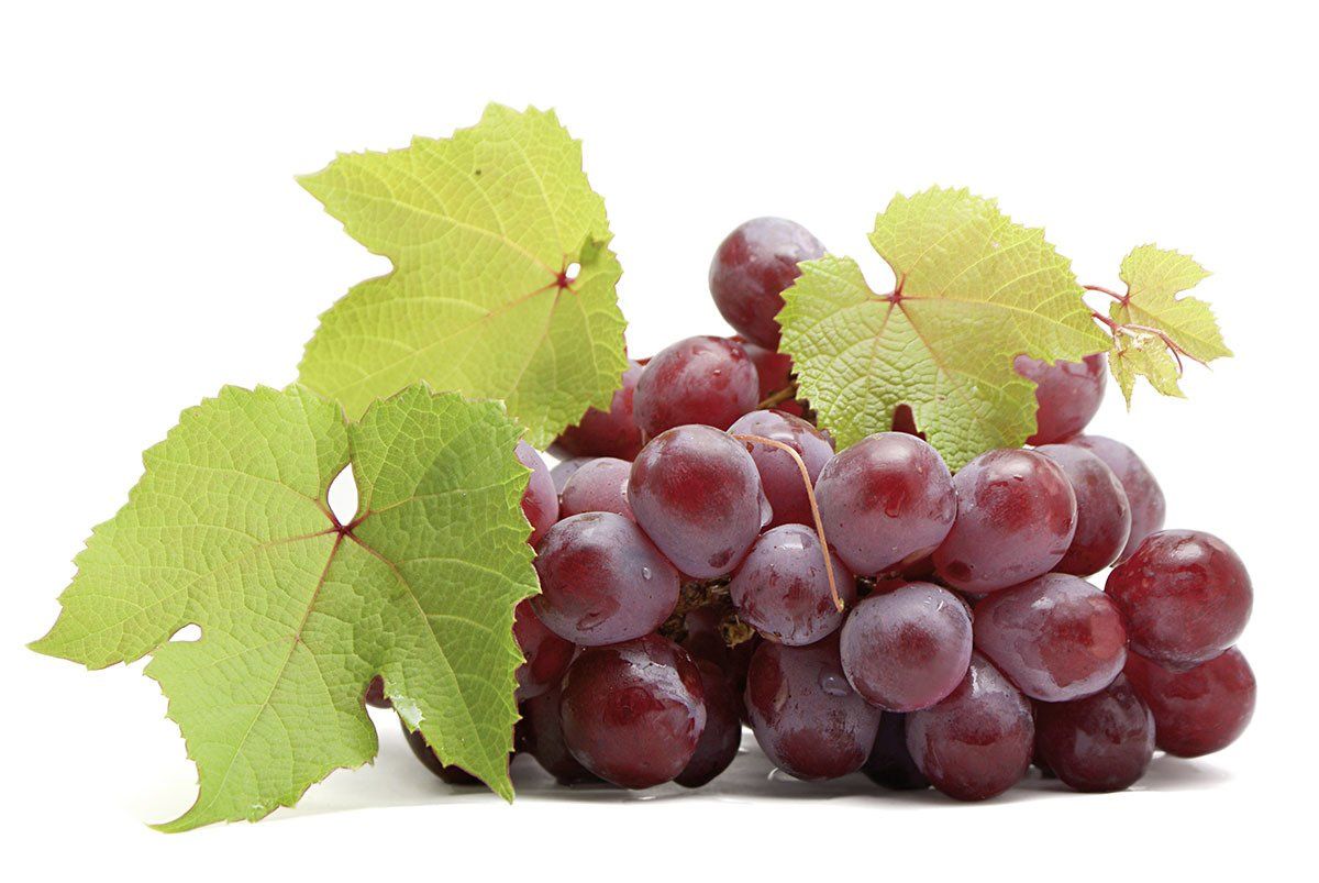 Weintrauben von Weinrebe