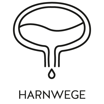 femidoc® URORENAL Tee für die Harnwege