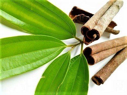 Pimpinella Anisum L.