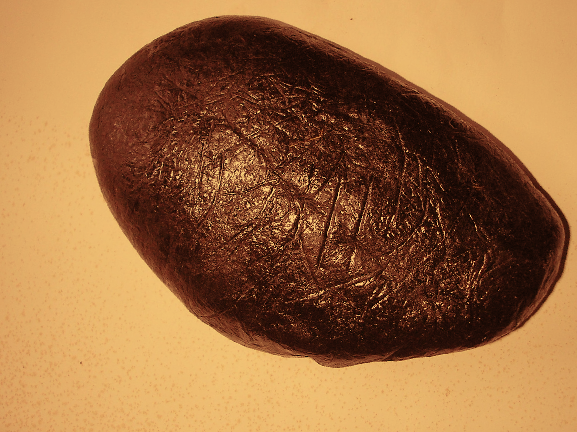 Pimpinella Anisum L.