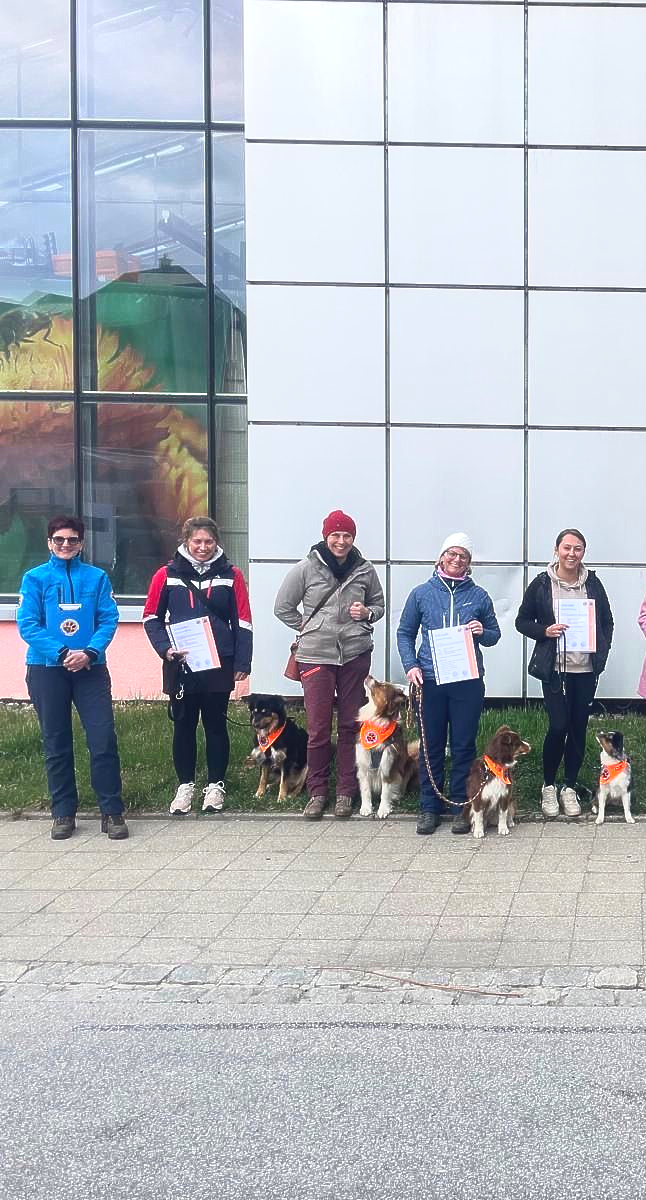 Seminar Bild von Hinten in die Menge