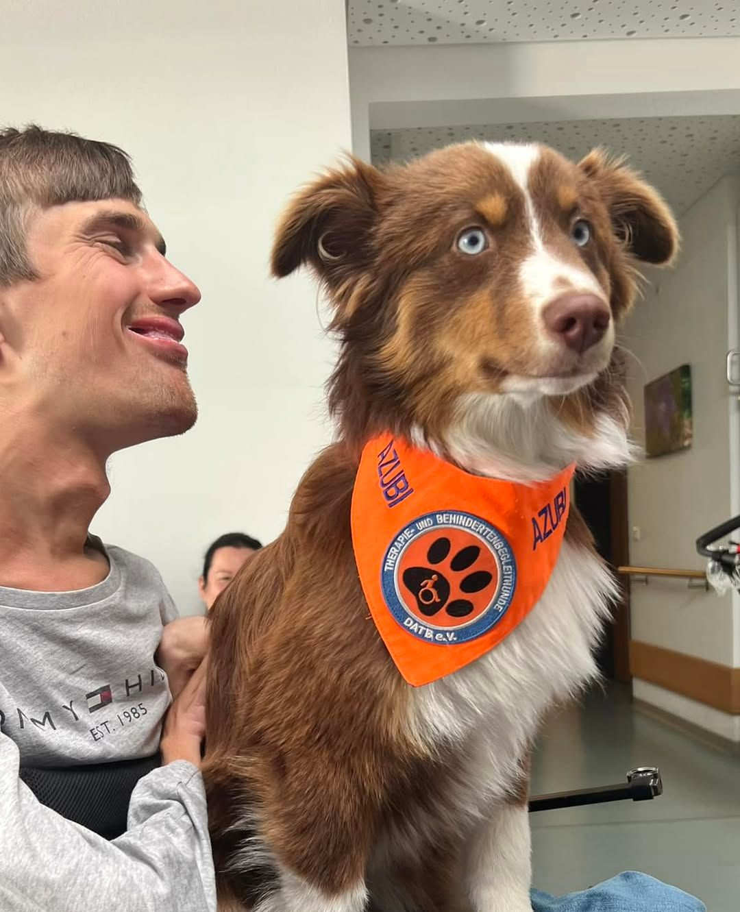 Therapiebegleithund Australien Shepherd auf dem Schoß und bei der Arbeit mit Behinderten