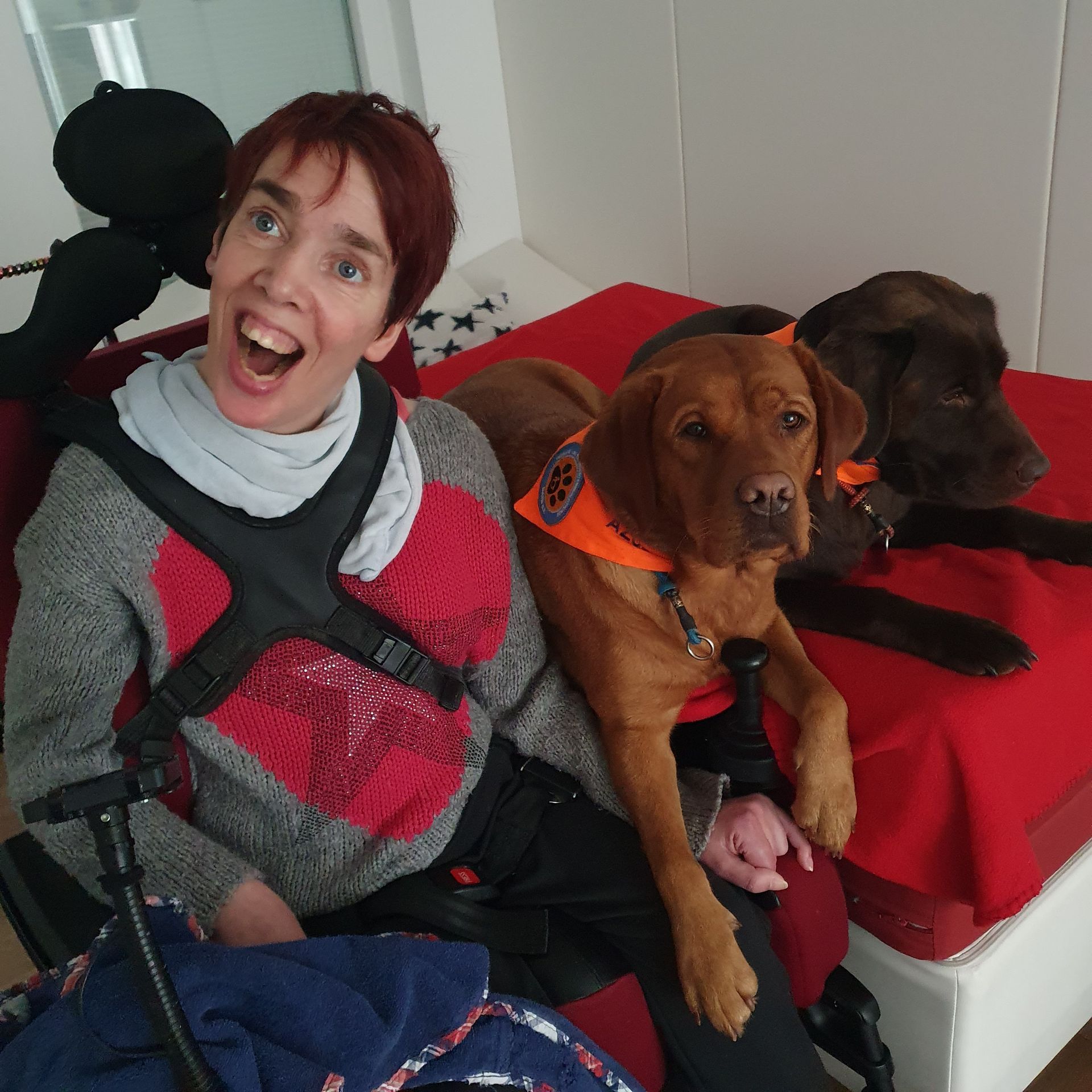 Therapiebelgiethunde bei der Arbeit mit Behinderten