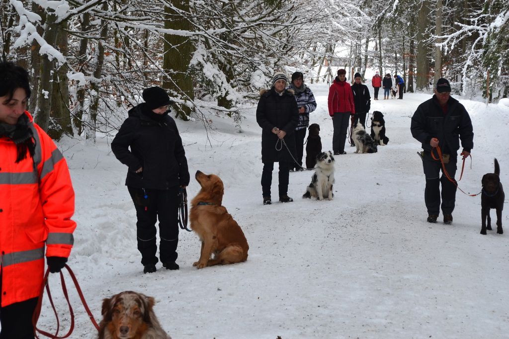 Ausbildungszentrum Hund und Mensch Lindberg Schleicher