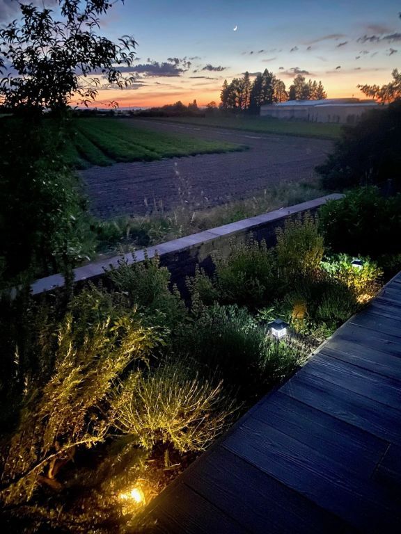 Garten des Architektenhaus Reilingen