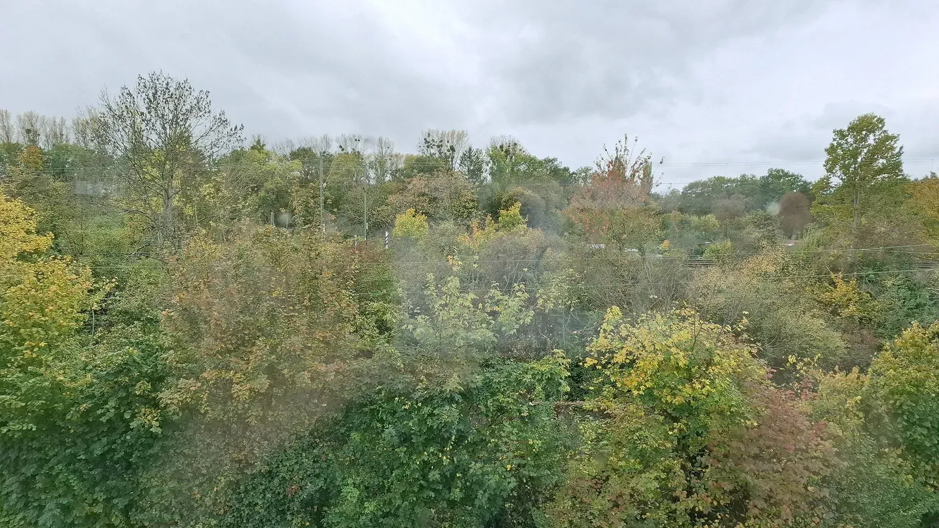 Vermietung einer 3 Zimmer Wohnung im Dachgeschoss in Karlsruhe Weiherfeld, Ausblick