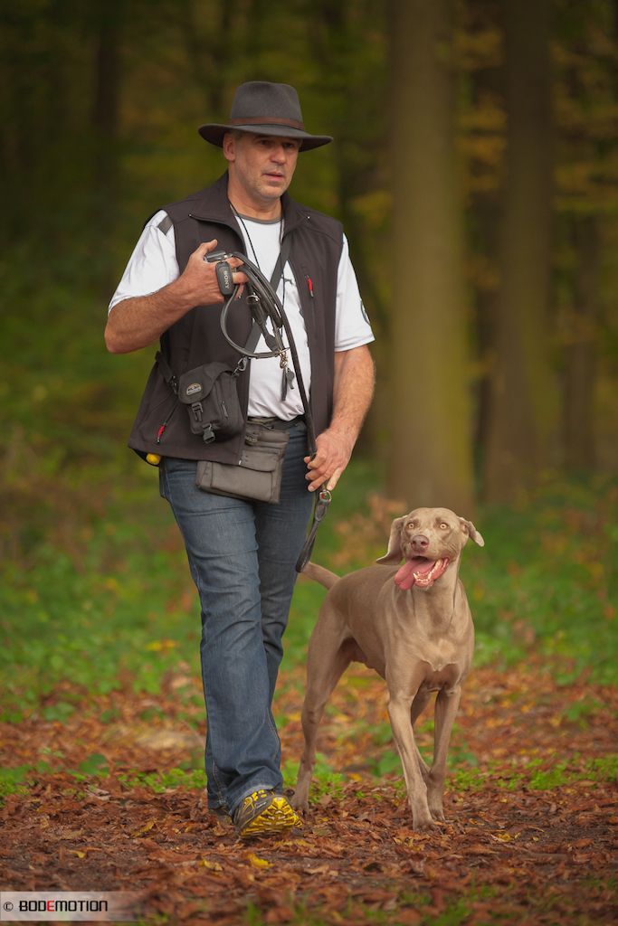 Kommunikation Hund-Mensch Alles, was der Mensch tun muss, ist umdenken